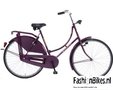 Pointer-Omafiets-Paars