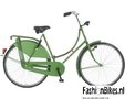 Pointer-Omafiets-Groen